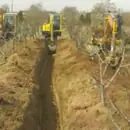  تصویر کوچک 1 اجاره بیل مکانیکی 